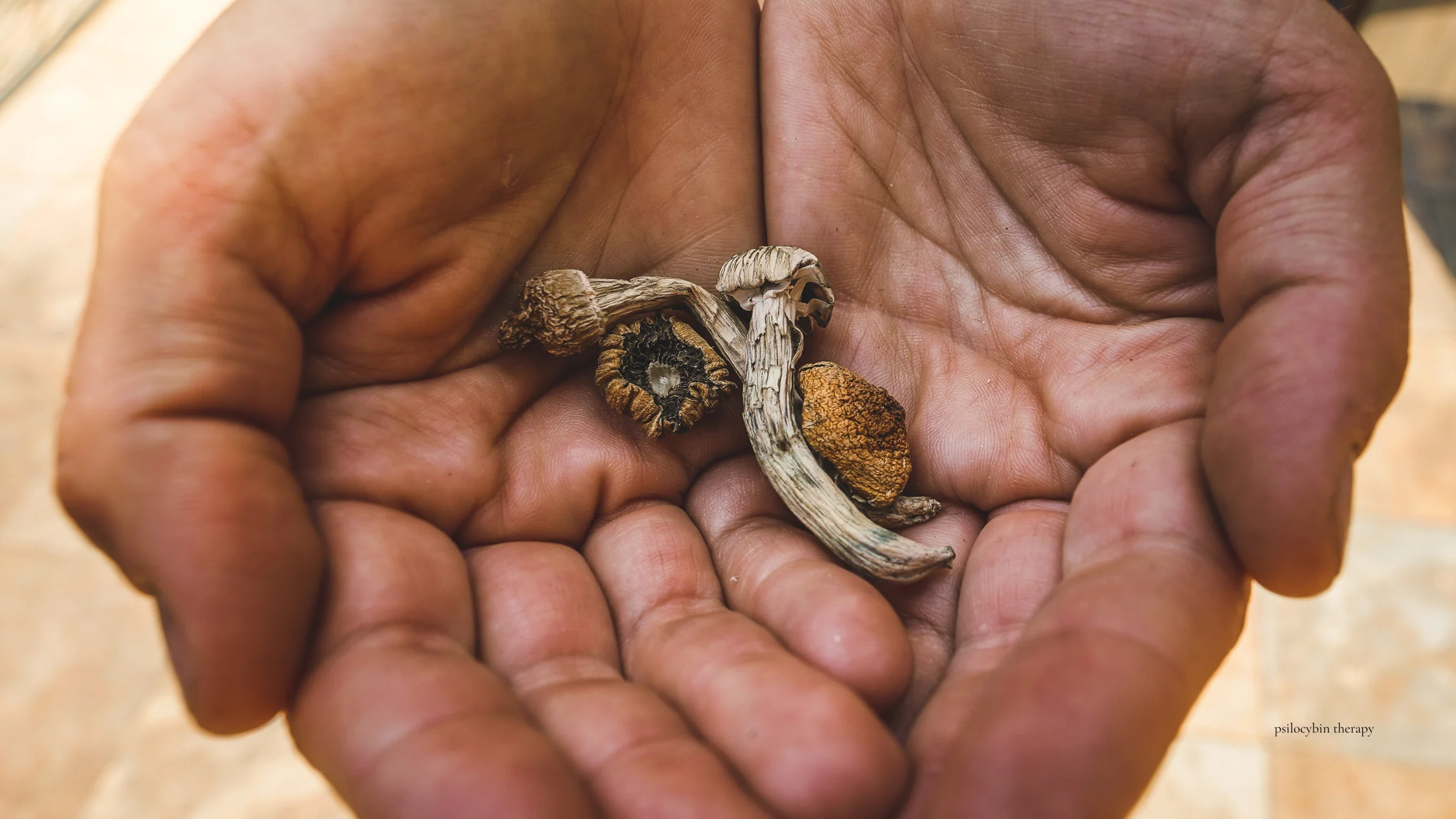 psilocybin therapy is gaining ground for mental health treatment