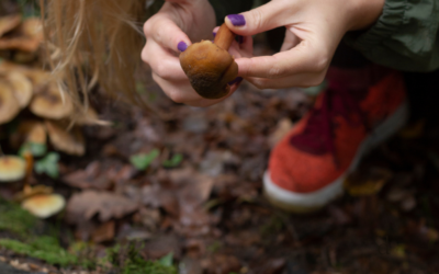 Psilocybin, Mescaline, and Women’s Hormones: What the Research Actually Says