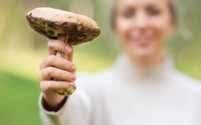 Psychedelic Microdosing Through Perimenopause and Menopause