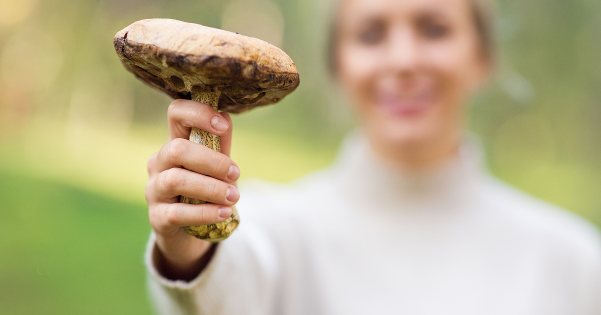 Woman in a cream sweater holding up a large mushroom outdoors