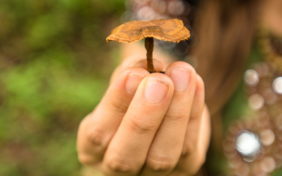 Microdosing and Your Menstrual Cycle: What Women Aren’t Told